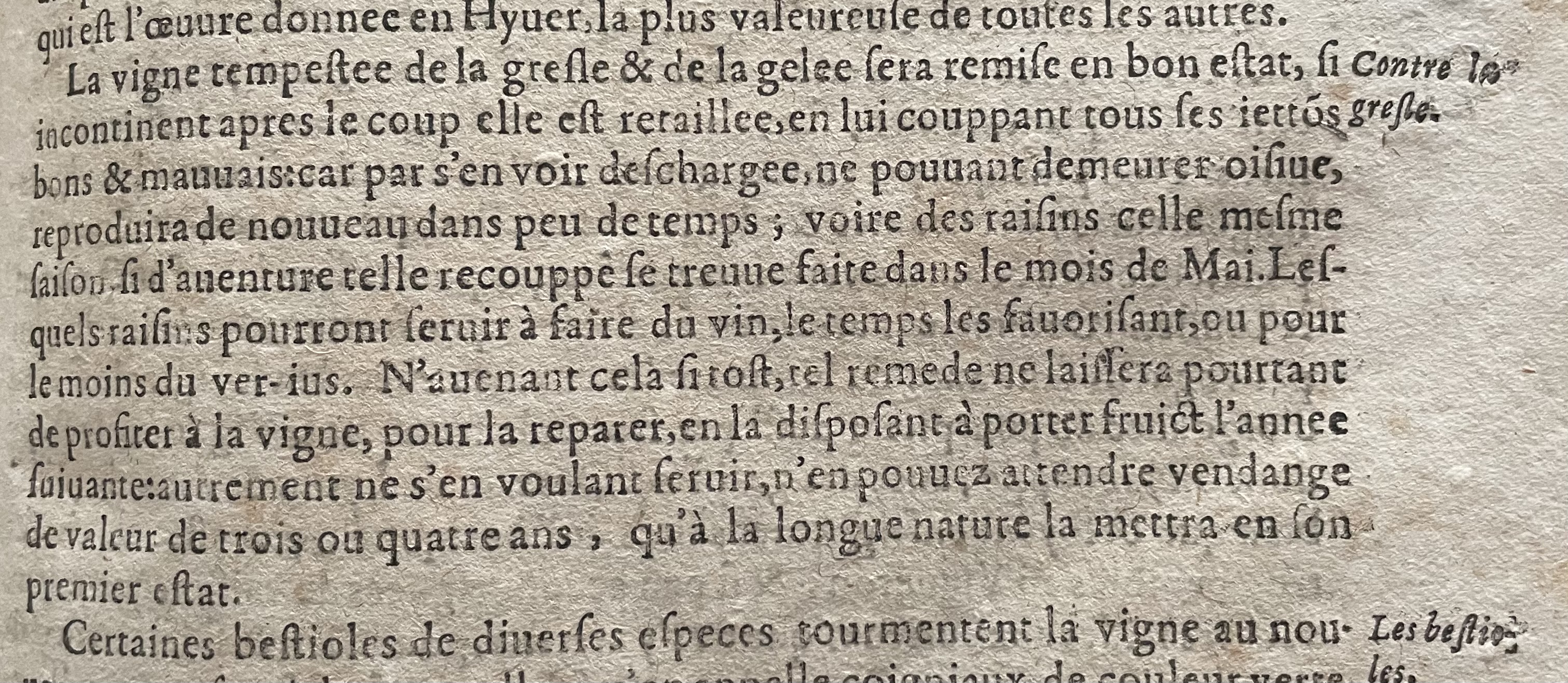 o de serre grêle