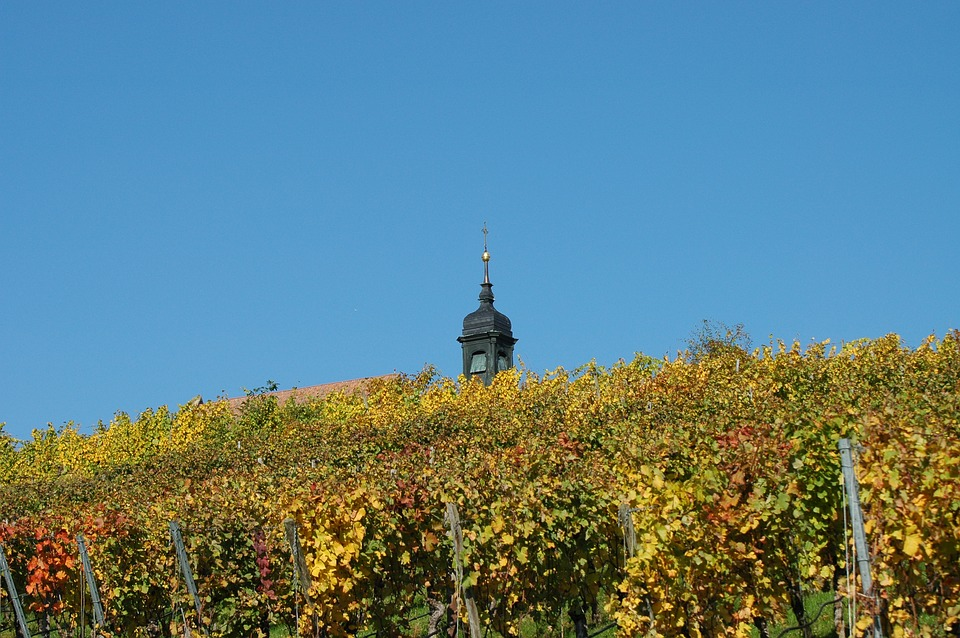 Vignoble du Valais, vignes en terrasse de la vallée du Rhône