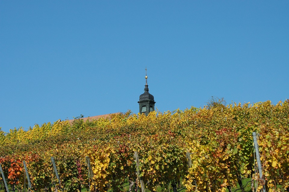 Vignoble du Valais, vignes en terrasse de la vallée du Rhône Vignoble du Valais, vignes en terrasse de la vallée du Rhône